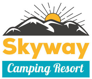 Skyway_logo
