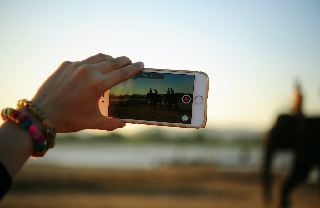 Smartphone recording a video of elephants