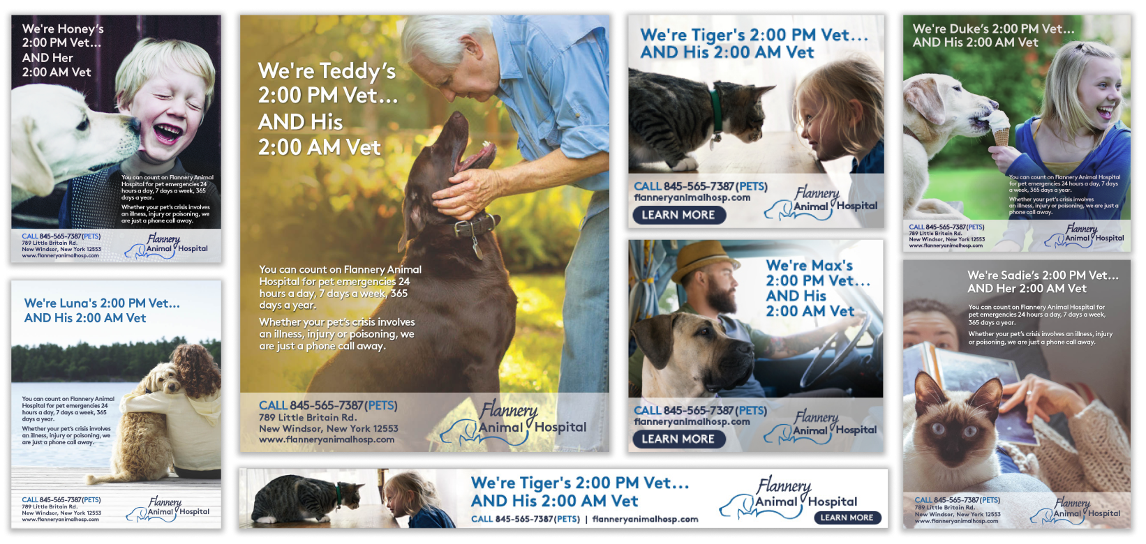 Flannery Animal Hospital Digital Ads