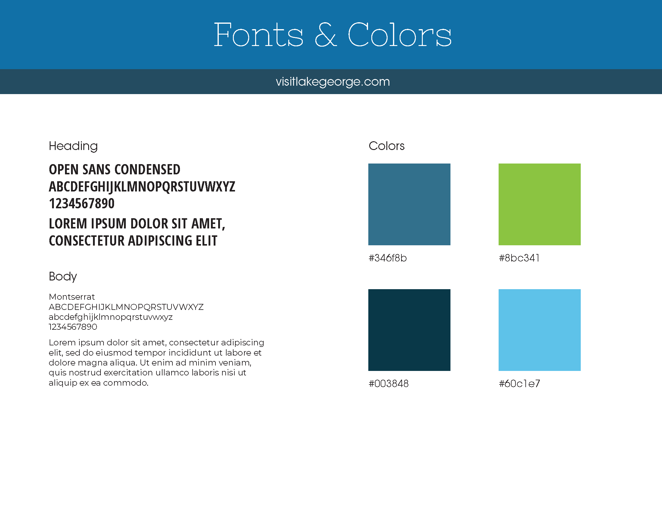 Warren Website Brand Guide - Fonts and colors